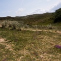 Cotentin2007 (14)